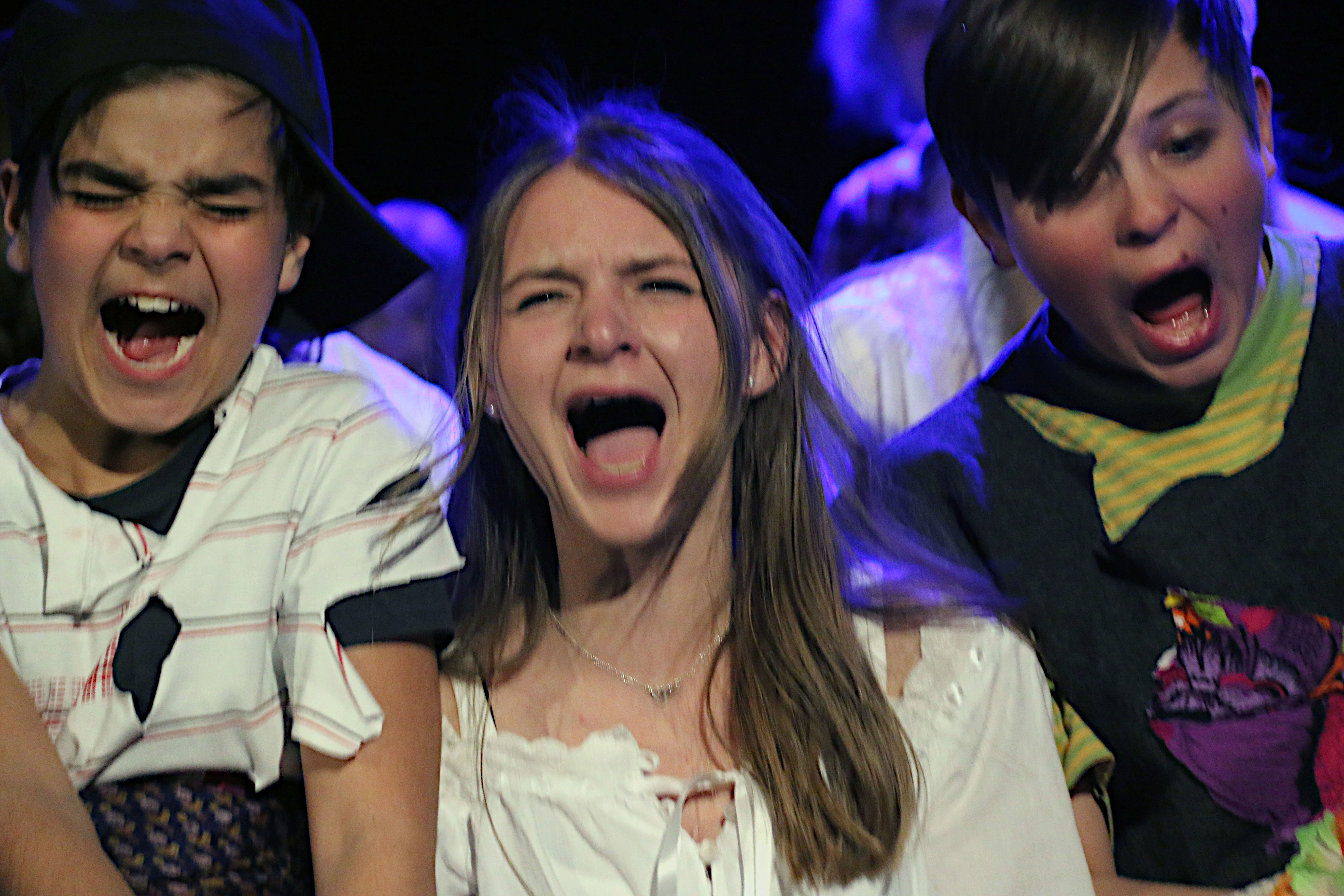Beschreibung